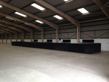 Festival Bars